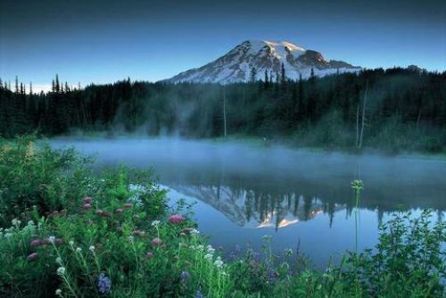 natuRe