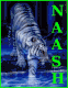 naash1 smiley