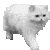cat smiley
