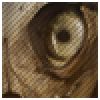 bella_belle's avatar