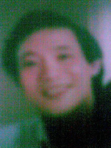 Ngovicaus