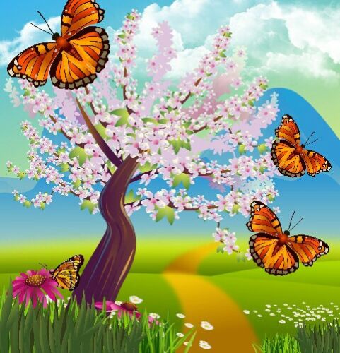 my draw