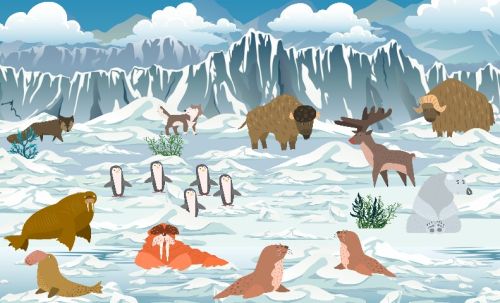 Arctic