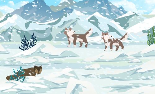 Arctic