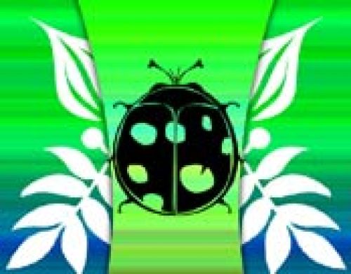 Bugs