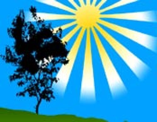 Wonderful Morning