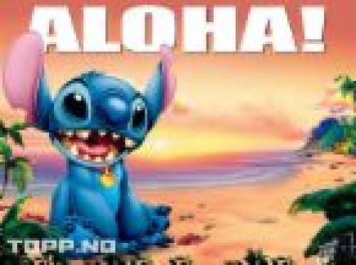 Stitch 1