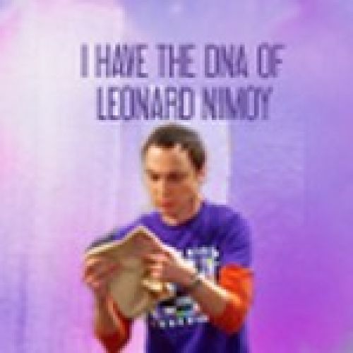 sheldon