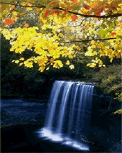 Beauty of nature