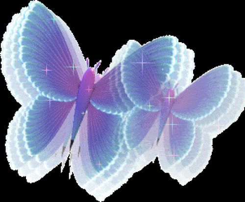 Sparkly Butterfliez..!