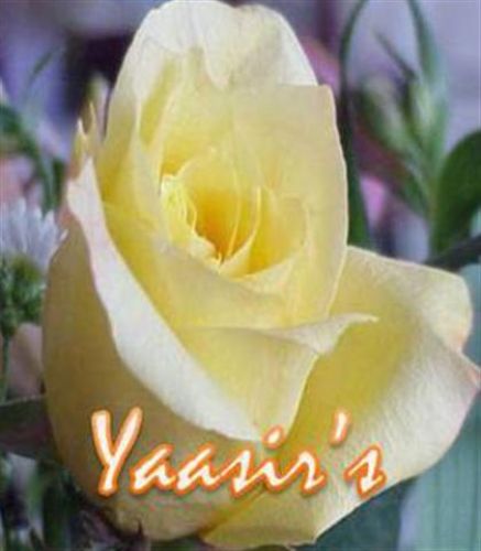 flowe