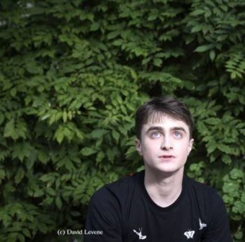 HARRY POTTER