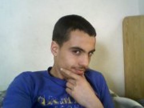 zied
