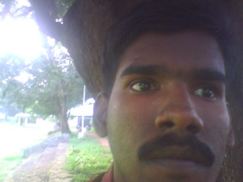 saju