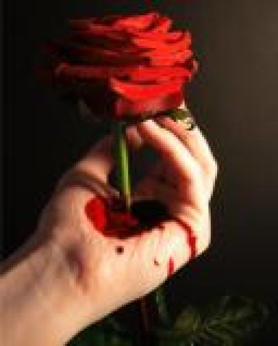 Blood of love