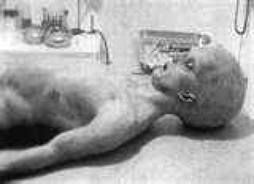 Real an alien(rosswell)