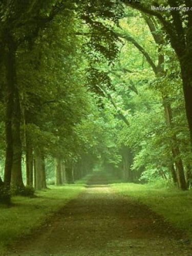 Nature cool na