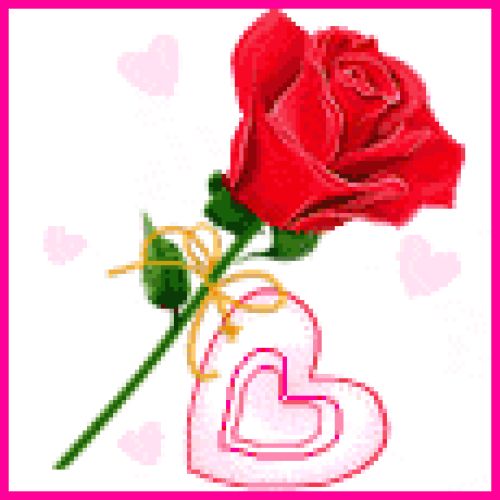 Purna