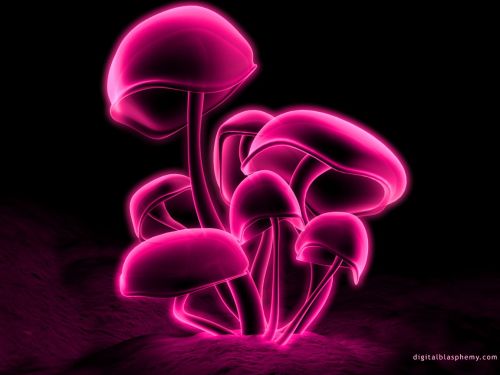 PiNk ShroOms