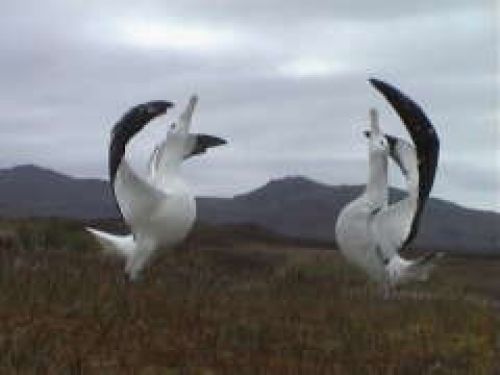 Nature r So beautiful