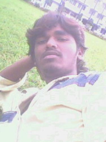 Prasu
