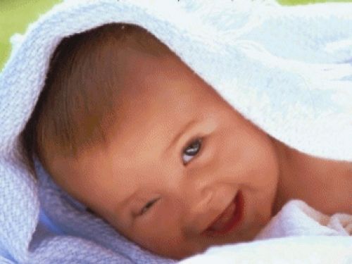 Arav
