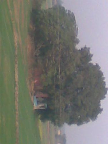 Gareen land.