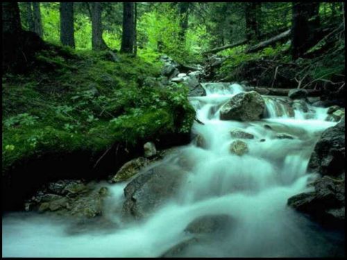 Love is in the air!!!!!