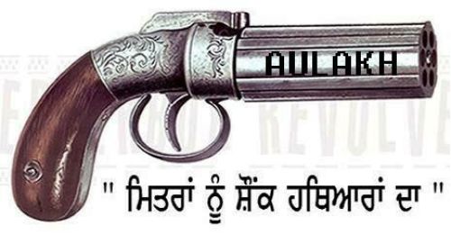 Gun is crazy.