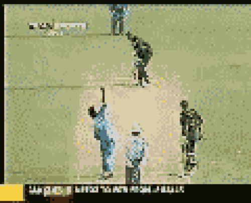 Cricket