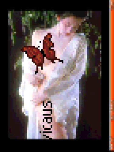 Movems from max ngovicaus