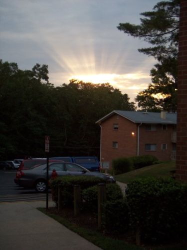 My home palece of my own