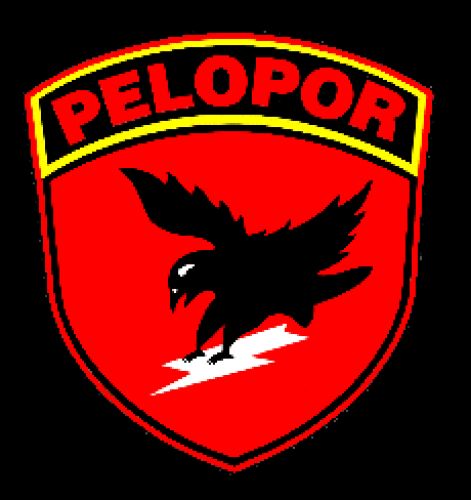 pelopor