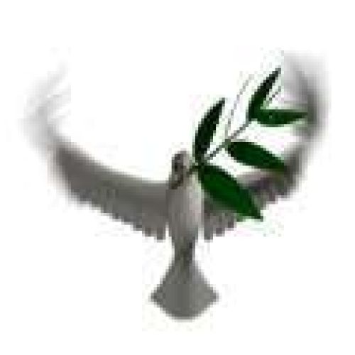 A dove,the mother of peace