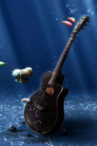 sea guitor