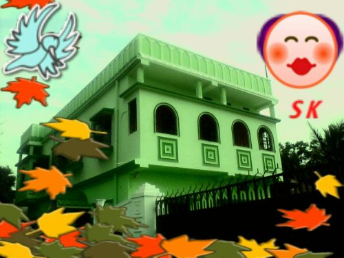 my paradise like house-SAIF NICE HOUSE
