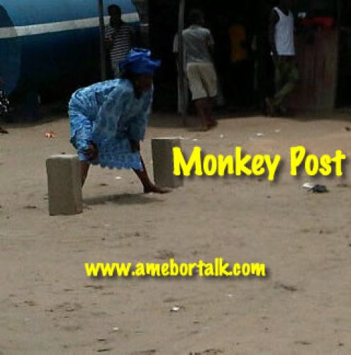 Mama play monkey post