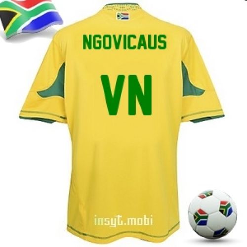 Ngovicaus