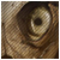 bella_belle's avatar