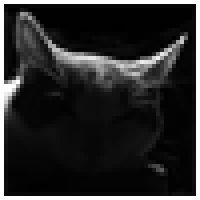 Rangorax's avatar