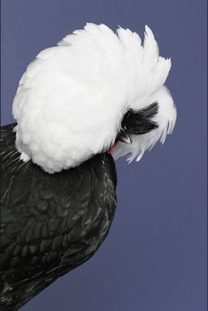 image020.jpg