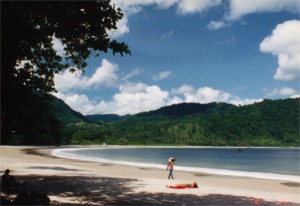 tt_beach.jpg