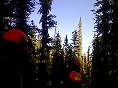 howlingbigfoot.jpg