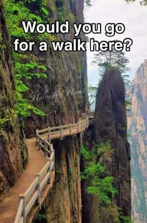 A_Walk.jpg