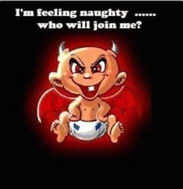 FB_IMG_15646111795928429.jpg