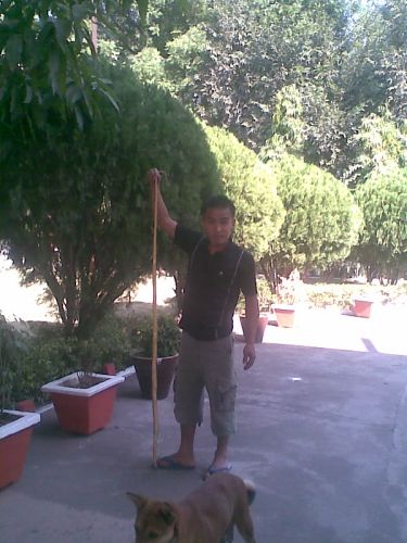 Playin vit snake! Ha.ha..