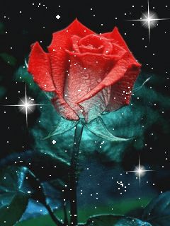 Animated rose
