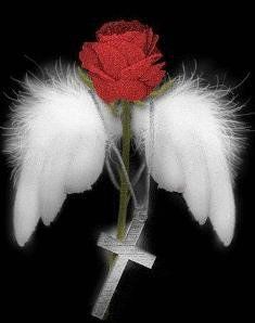 Angel rose & cross
