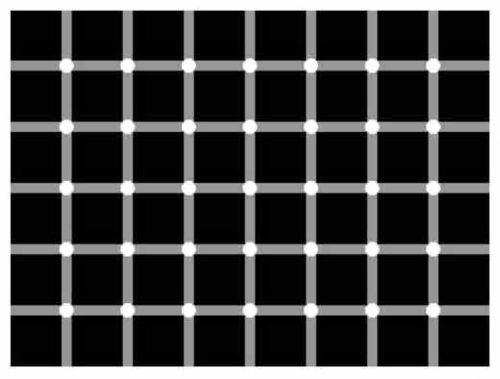 HOW MANY BLACK DOTS YOU HAVE SEEN ???